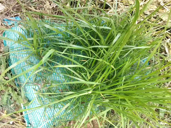 戳我试试