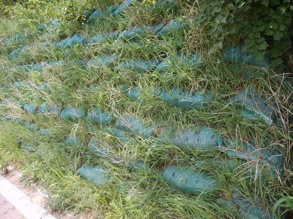 戳我试试
