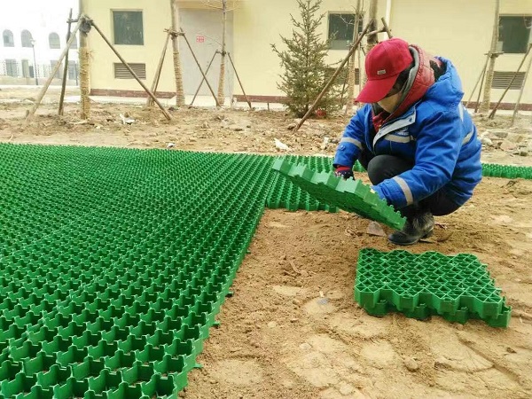 花口植草格